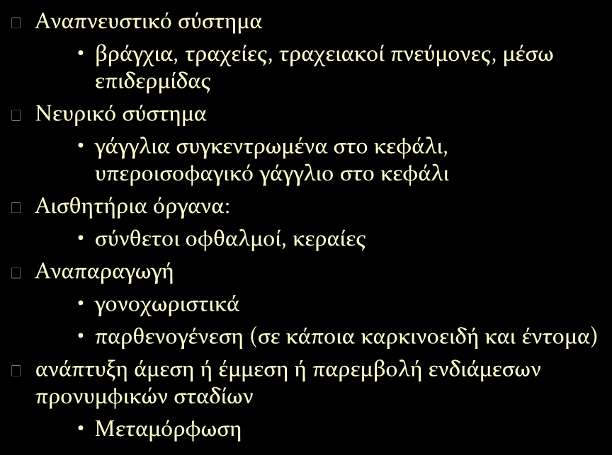 Γενικά χαρακτηριστικά των αρθροπόδων Αναπνευστικό σύστημα βράγχια, τραχείες, τραχειακοί πνεύμονες, μέσω επιδερμίδας Νευρικό σύστημα γάγγλια συγκεντρωμένα στο κεφάλι, υπεροισοφαγικό γάγγλιο στο κεφάλι