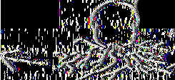 _ 3 ' Ο * * o? Basidiospore (Βασιδιοσπόρια) Mature Mushroom.