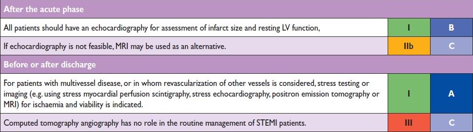 STEMI- RISK ASSESSMENT Steg G. et al.