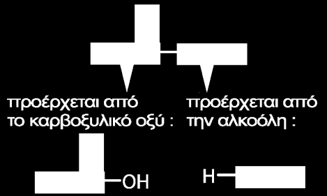 Καρβοξυλικό οξύ Μοριακό βάρος Διαλυτότητα στο νερό (g/100 ml) Η-COOH 46 -COOH 60 -CH 2 -COOH 74 ) 2 -COOH 88 ) 3 -COOH 102 3,7 ) 4 -COOH 116 1,0 ) 6 -COOH 144 0,7 ) 10 -COOH 200 αδιάλυτο Πίνακας 18.