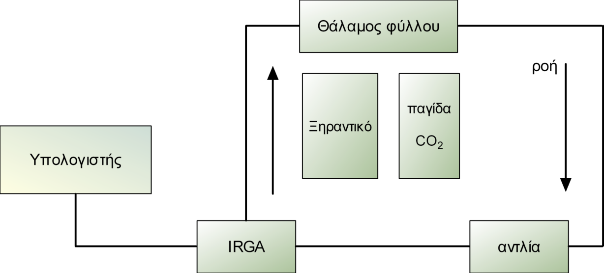 2.4.2 Πειραματικό μέρος Το πειραματικό μέρος περιλαμβάνει δύο σκέλη: 1 ο σκέλος: παρατήρηση σε οπτικό μικροσκόπιο εγκάρσιων τομών φύλλων από C3 και C4-φυτά και χρώση με διάλυμα J 2 JK για τον