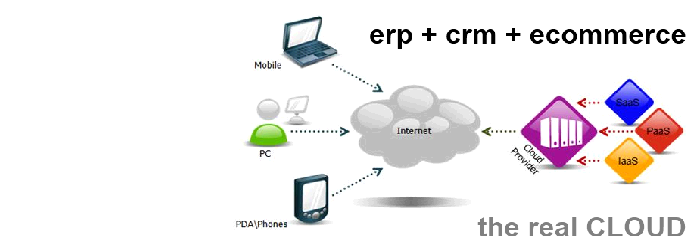 ΠΛΑΤΦΟΡΜΑ ΩΣ ΥΠΗΡΕΣΙΑ ΣΤΟ ERP (PaaS) Συμφωνούμε ότι το δεύτερο μοντέλο cloud δεν είναι κατάλληλο για την παροχή ενός συστήματος ERP.