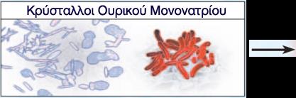 Φιεγκνλόζσκα Κξύζηαιινη Οπξηθνύ Μνλνλαηξίνπ Ελεξγνπνίεζε ηεο Καζπάζεο-1 Πξνηενιπηηθή δηάζπαζε