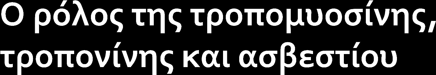 Σε κατάσταση ηρεμίας παρεμποδίζεται ο σχηματισμός εγκάρσιων γεφυρών από τις