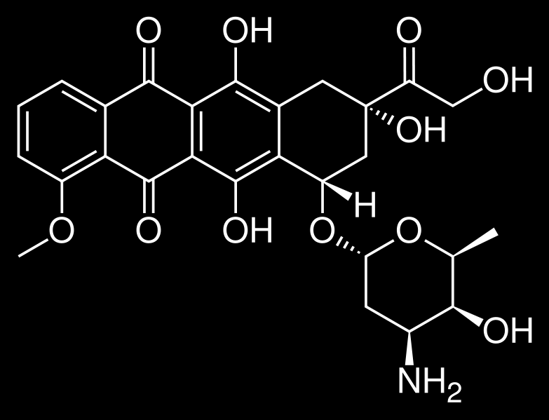 Metabolizem ksenobiotikov