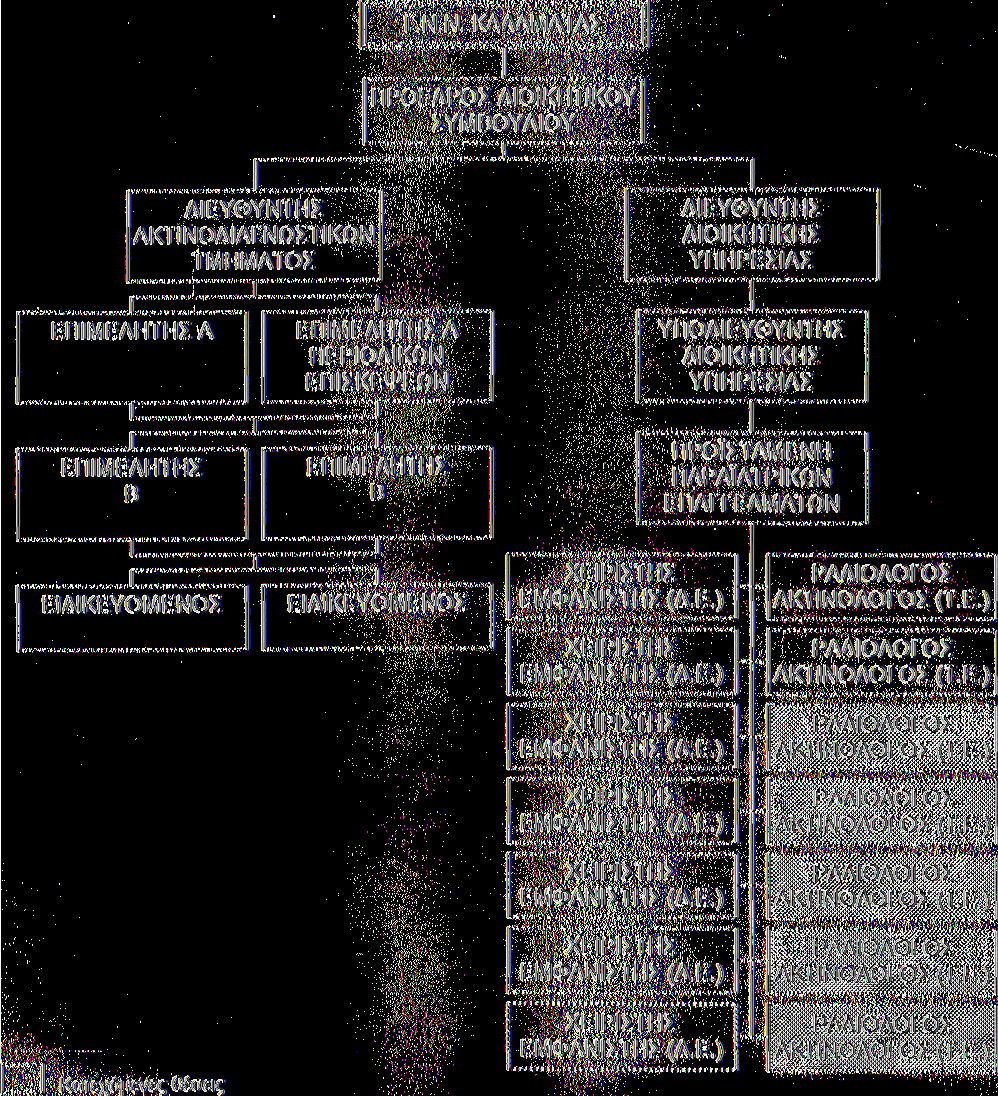 ΚΕΦΑΛΑΙΟ 2 Το οργανόγραμμα του προσωπικού του ακτινοδιαγνωστικού Τμήματος παρουσιάζεται στο παρακάτω σχήμα (Σ.2.1.