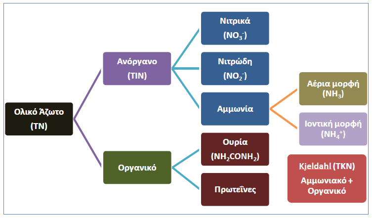 3. Βιογεωχημικόσ κύκλοσ του αζώτου Εικόνα 7.