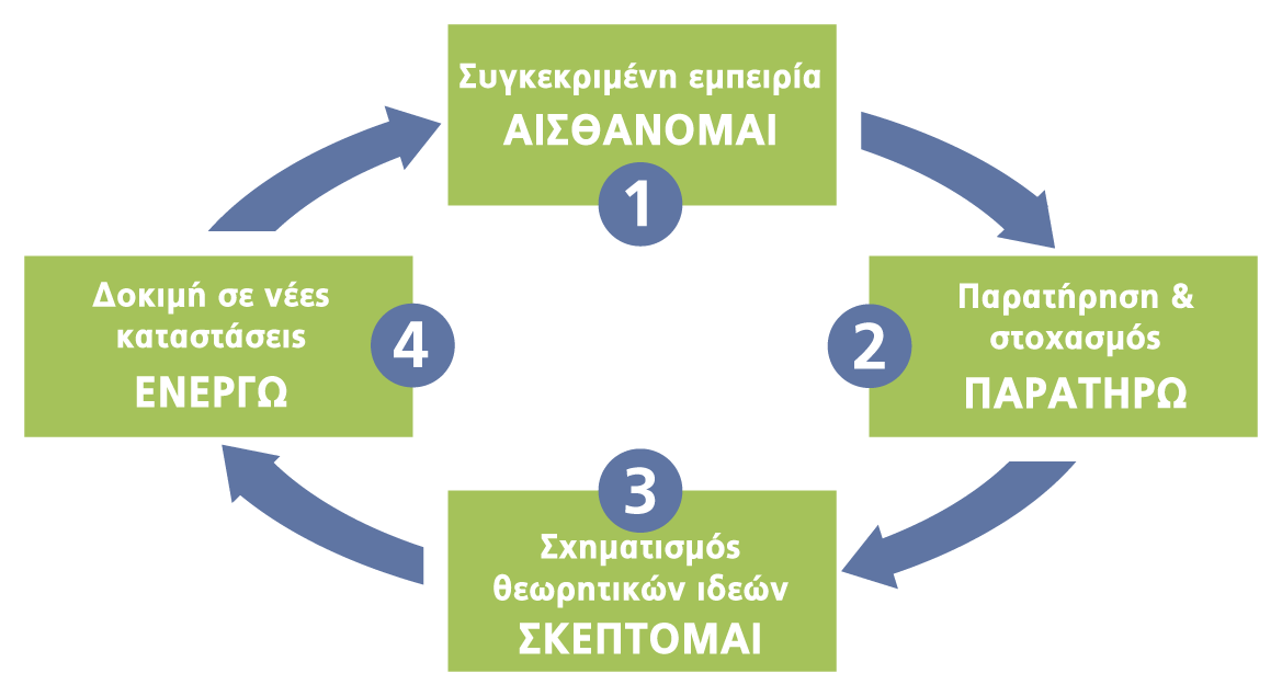 Στηριχθήκαμε στο κύκλο του Kolb και τροποποιήσαμε το πρόγραμμά μας βάση των δεδομένων που είχαμε από το μαθητικό