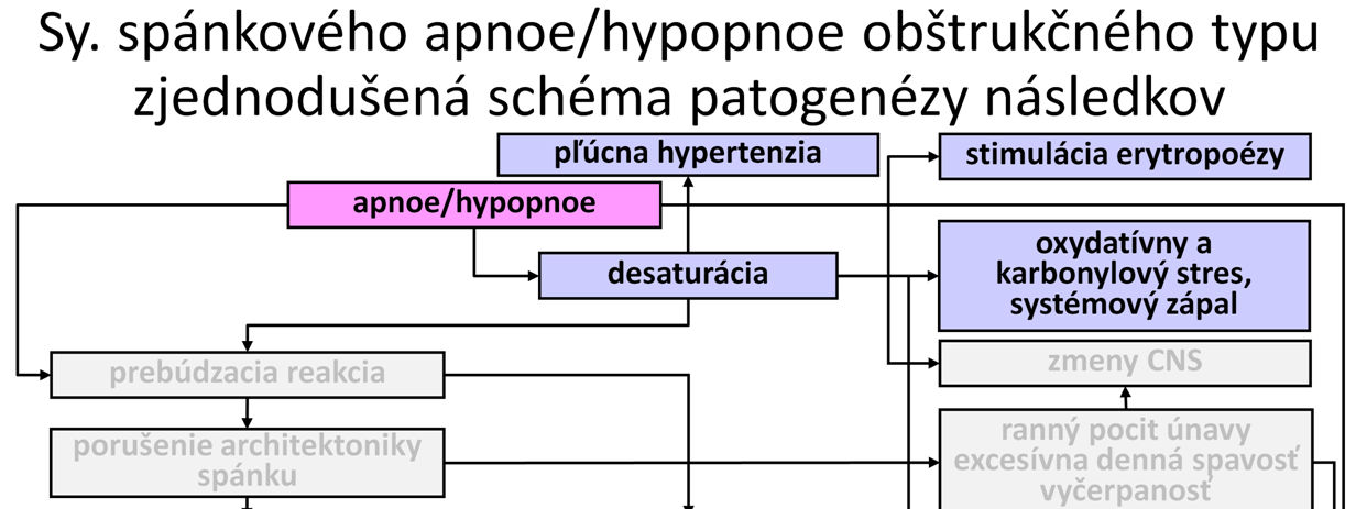 Ďalšie patogenetické mechanizmy pramenia: 2. Z desaturácií spôsobených apnoickými či hypopnoickými udalosťami. Okrem už uvedeného oxidatívneho stresu spôsobujú vzostupy tlaku v arteria pulmonalis.