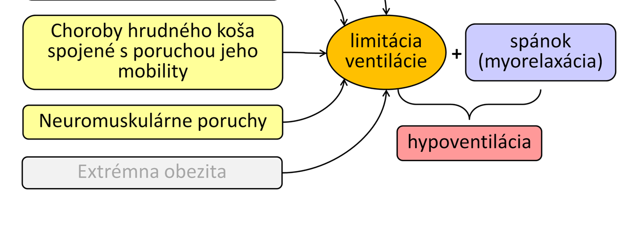 Celková ventilácia zdravého človeka klesá v spánku na zhruba 60% bdelého stavu.