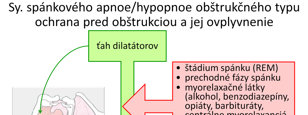 Prirodzenou ochranou proti vyššie uvedeným mechanizmom, spôsobujúcim obštrukciu horných dýchacích orgánov, je ťah niektorých priečne pruhovaných svalov. Hlavným reprezentantom sú mm.
