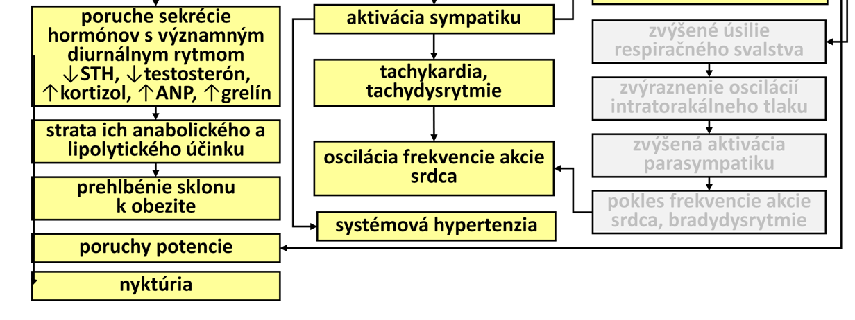Pokles sekrécie STH a testosterónustratou ich anabolického a lipolytickéhoúčinku vedie k narastaniu obezity, čím sa vytvára predpoklad pre ďalšie zhoršovanie spánkových porúch dýchania (bludný kruh).