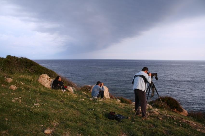 3 Τύποι Μεθοδολογίας (Gilbert et al.
