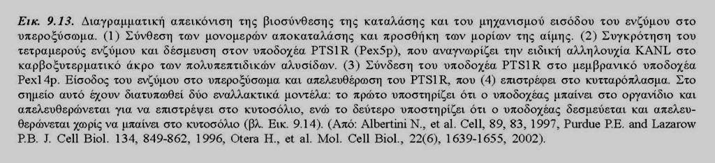 Μεταβολισμός Η 2 Ο 2 Βιογένεση Υ ΔΙΑΛΟΓΗ