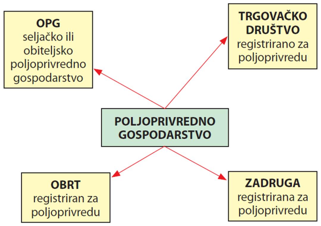 UVOD U TEMELJNE RAČUNOVODSTVENE KONCEPTE I NEKE POSEBNOSTI KNJIGOVODSTVA U