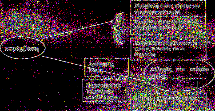 Οι εισροές ή το κόστος (άμεσο υγειονομικό και μη και έμμεσο κόστος) μιας θεραπείας μετρώνται σε χρήμα, ενώ, οι εκροές ή τα υγειονομικά αποτελέσματα εκφράζονται σε φυσικές μονάδες όπως χρόνια