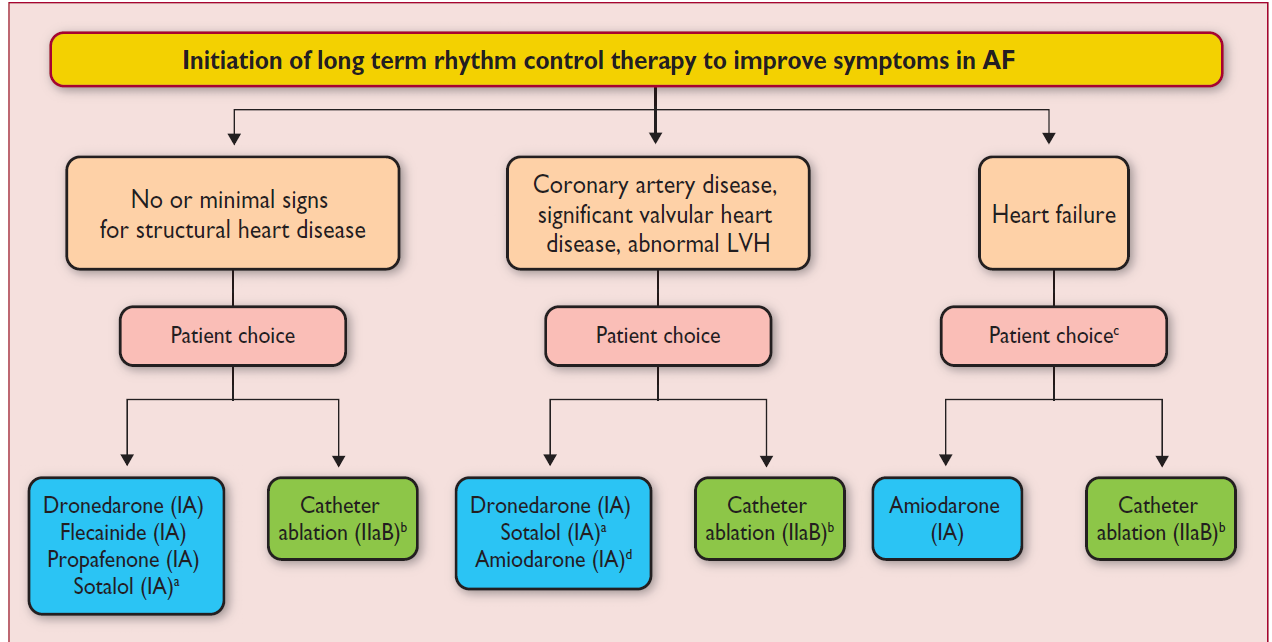 ESC Afib