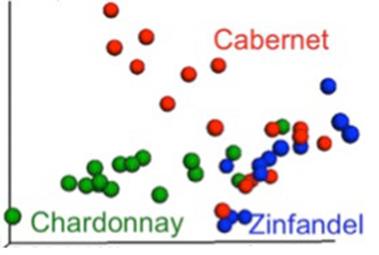 Μικροοργανισμοί στην οινοποιεία PCA of bacterial communities of grape musts samples of