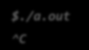 Παράδειγμα 3 fflush/fclose FILE *fp; fp = fopen("file", "w"); fprintf(fp, "%s", "xxx"); while(1) ; $./a.