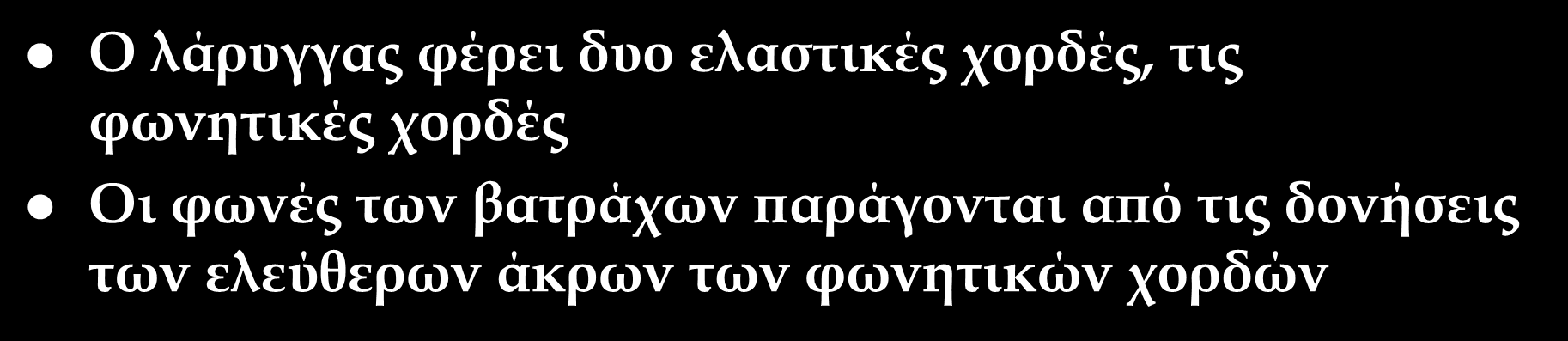 Παραγωγή φωνής Ο λάρυγγας φέρει δυο