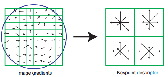 κλειδί, το οποίο και χωρίζουμε σε δεκαέξι παράθυρα διαστάσεων 4x4, υπολογίζουμε το μέτρο και την κατεύθυνση των παραγώγων σε κάθε τέτοιο παράθυρο 4x4. Εικόνα 2.