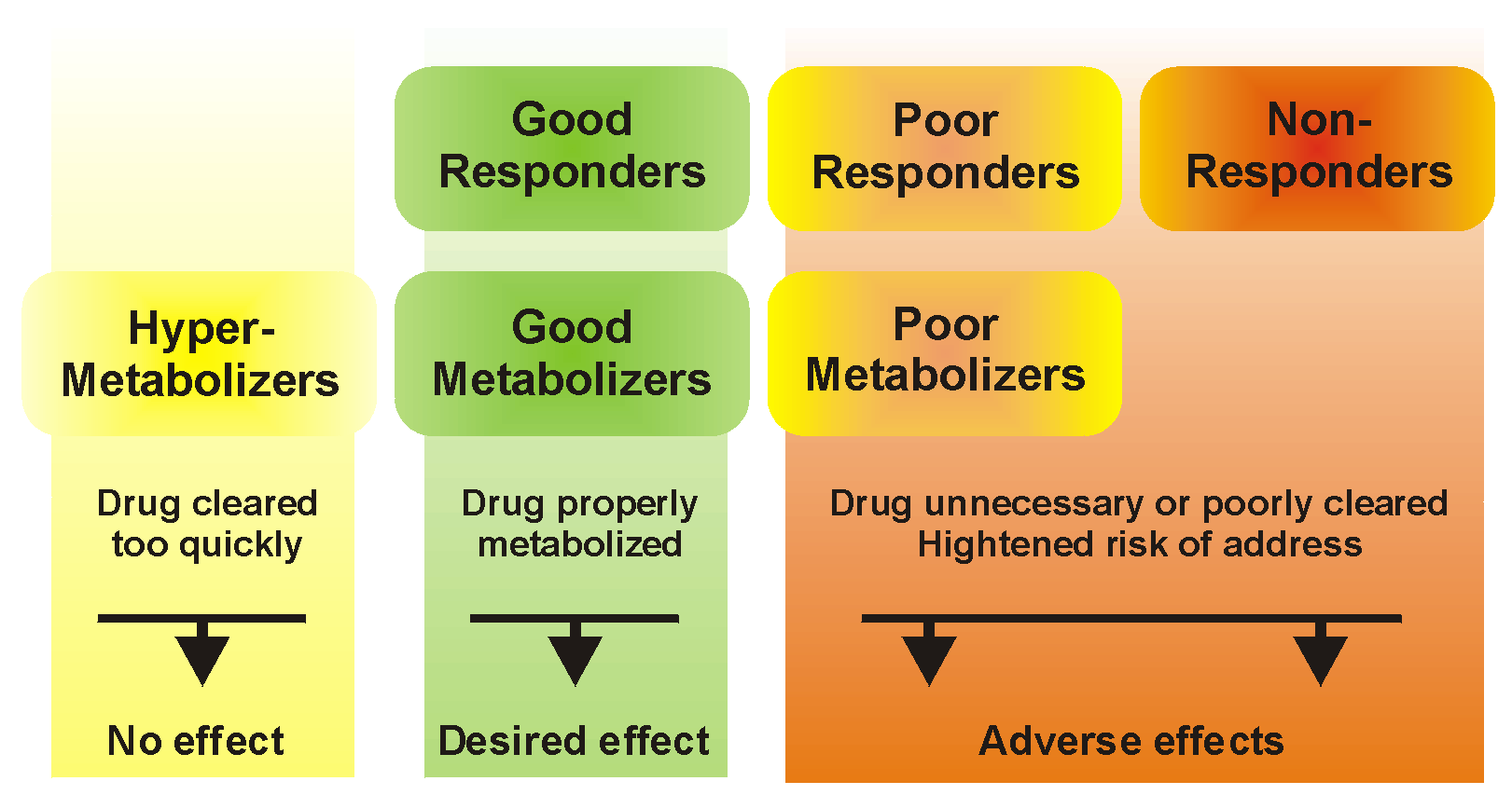 Φαρμακογονιδιωματική και κλινική πράξη Η αποτελεσματικότητα και ο