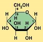 Β. ΧΗΜΕΙΑ ΤΗΣ ΖΩΗΣ-ΒΙΟΛ. ΜΑΚΡΟΜΟΡΙΑ 13 ΔΡΑΣΤΗΡΙΟΤΗΤΑ 2 1. Ποιο μόριο απεικονίζεται στο πιο πάνω σχήμα; 2. Εάν δύο τέτοια μόρια ενωθούν μαζί ποια δύο προϊόντα θα προκύψουν; 3.