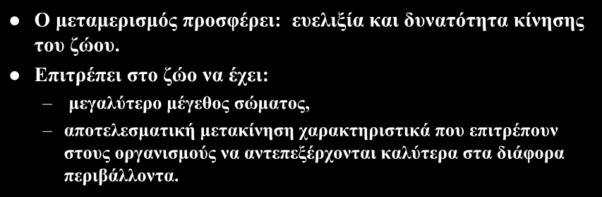 Μεταμερισμός Ο μεταμερισμός προσφέρει: ευελιξία και δυνατότητα κίνησης του ζώου.
