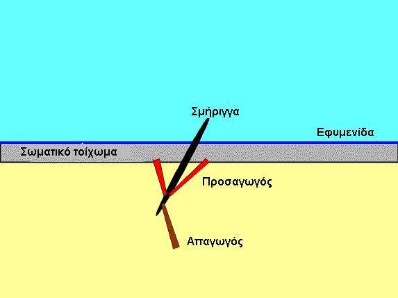 επίμηκων μυών έκταση