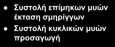 Περισταλτική κίνηση