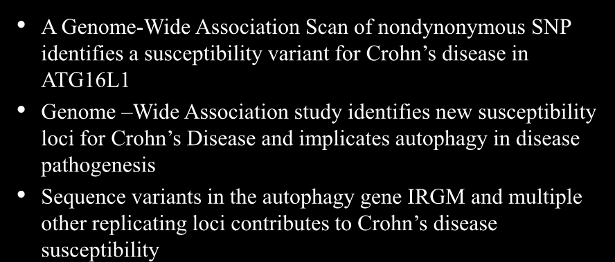 Μηχανισμός Αυτοφαγίας A Genome-Wide Association Scan of nondynonymous SNP identifies a susceptibility variant for Crohn s disease in ATG16L1 Genome Wide Association study identifies new