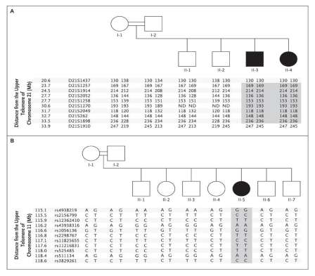 Inflammatory Bowel Disease and Mutations Affecting the