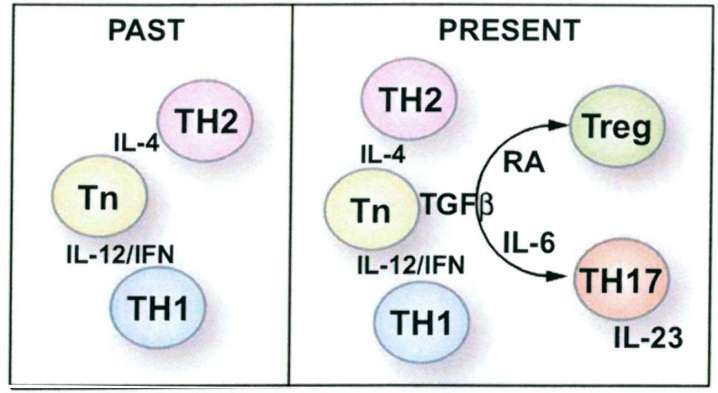 Επίκτητη ανοσία: Th1, Th2 & Th 17 Mangan PR,et al.