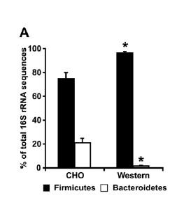 Η χορήγηση λιπαρής δίαιτας σε ποντίκια οδηγεί σε παχυσαρκία και αύξηση των Firmicutes Turnbaugh