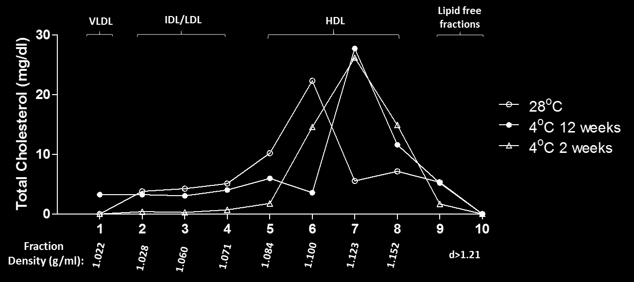 Η κατανομή της ολικής χοληστερόλης στα λιποπρωτεϊνικά κλάσματα έδειξε να επηρεάζεται από την έκθεση των πειραματόζωων στο ψύχος.