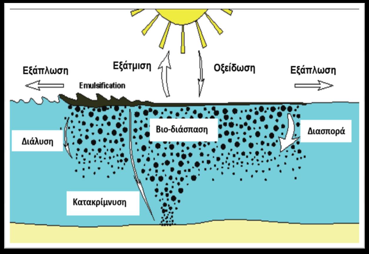 Εικόνα 2-2: Σχηματικό διάγραμμα των οκτώ βασικών διεργασιών που λαμβάνουν χώρα κατά την γήρανση (weathering) μια πετρελαιοκηλίδας στη θάλασσα.