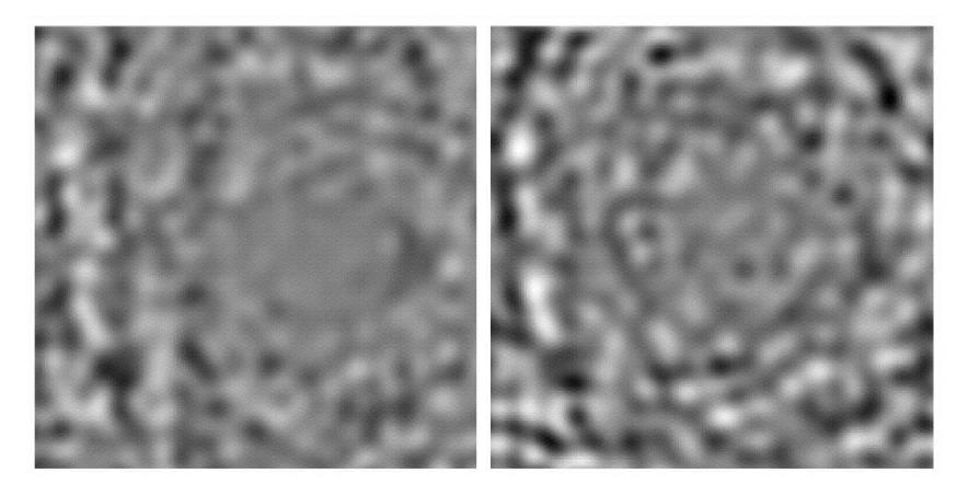 Line-of-sight velocity maps showing supergranular-scale flow, based on SOHO/MDI high spatial resolution Dopplergrams.