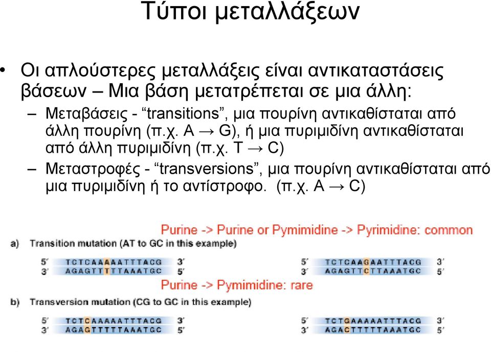 πουρίνη (π.χ.