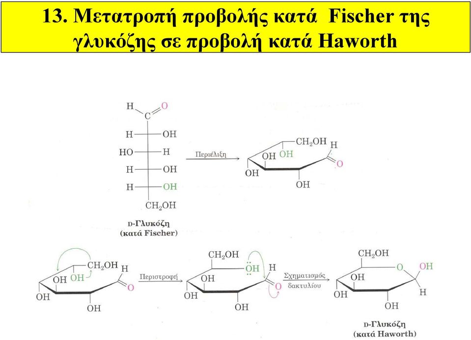 Fischer της