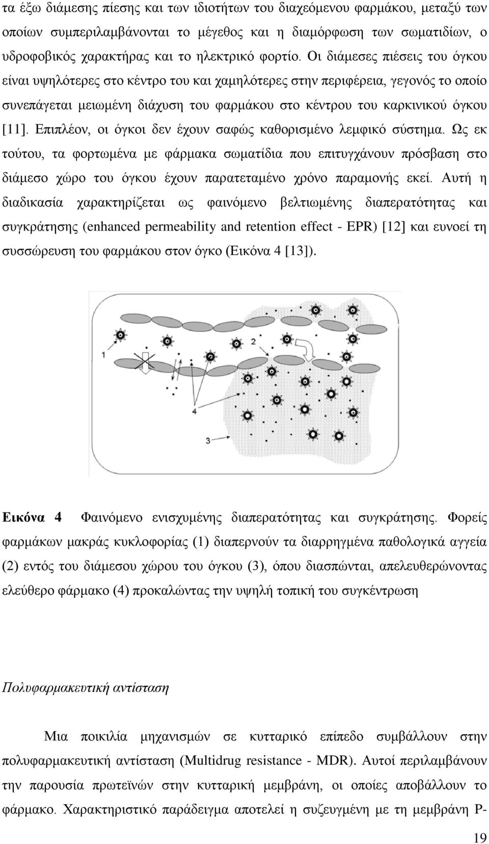 Επιπλέον, οι όγκοι δεν έχουν σαφώς καθορισμένο λεμφικό σύστημα.