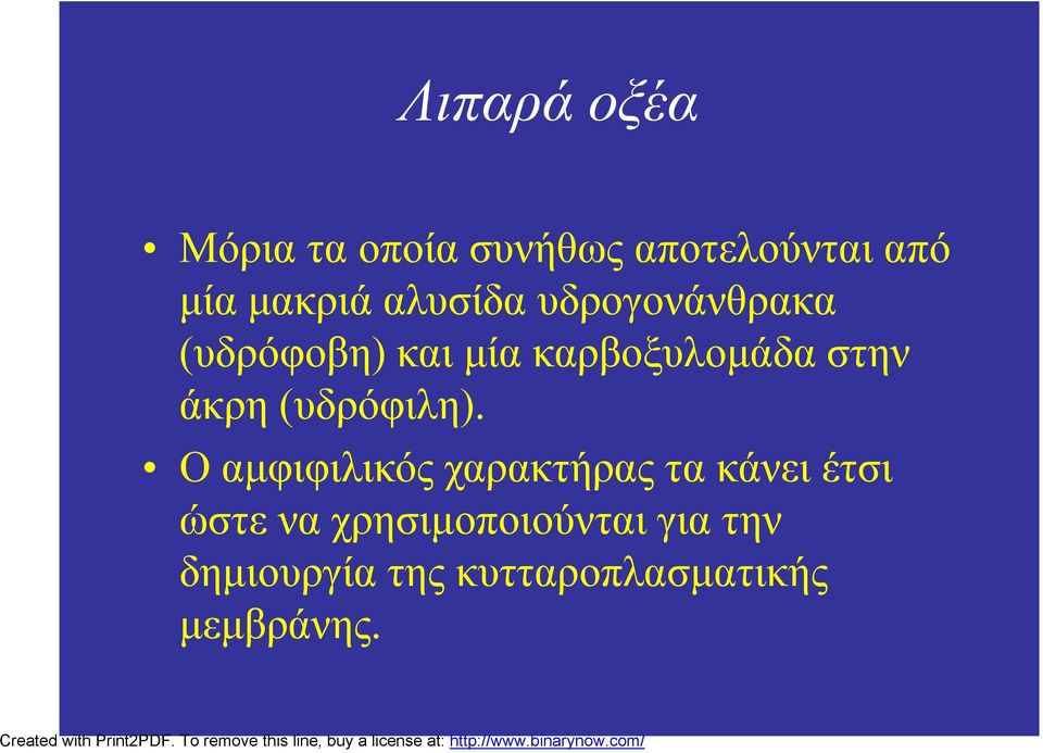 άκρη (υδρόφιλη).