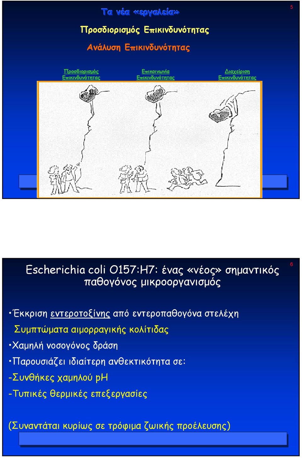 µικροοργανισµός 6 Έκκριση εντεροτοξίνης από εντεροπαθογόνα στελέχη Συµπτώµατα αιµορραγικής κολίτιδας Χαµηλή νοσογόνος δράση