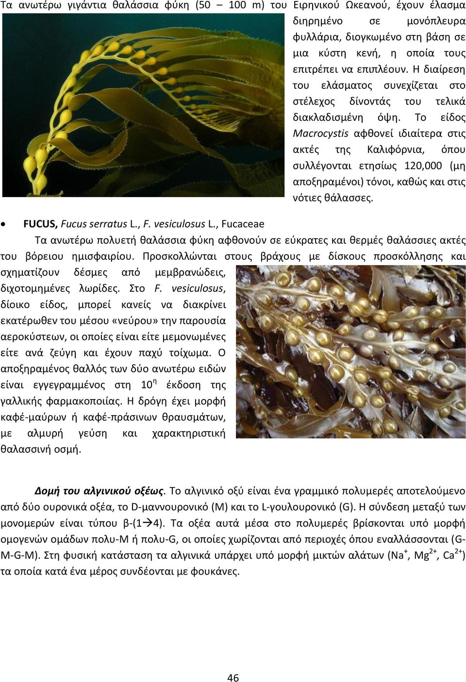 Σο είδοσ Macrocystis αφκονεί ιδιαίτερα ςτισ ακτζσ τθσ Καλιφόρνια, όπου ςυλλζγονται ετθςίωσ 120,000 (μθ αποξθραμζνοι) τόνοι, κακϊσ και ςτισ νότιεσ κάλαςςεσ. FUCUS, Fucus serratus L., F. vesiculosus L.