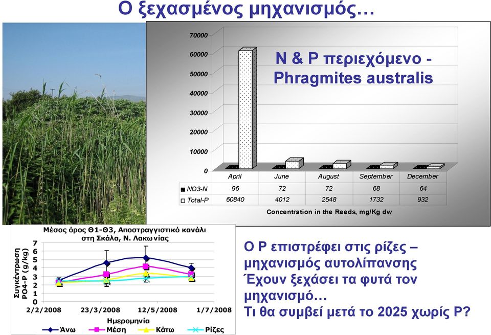 (g/kg) Μέσος όρος Θ1-Θ3, Αποστραγγιστικό κανάλι στη Σκάλα, Ν.