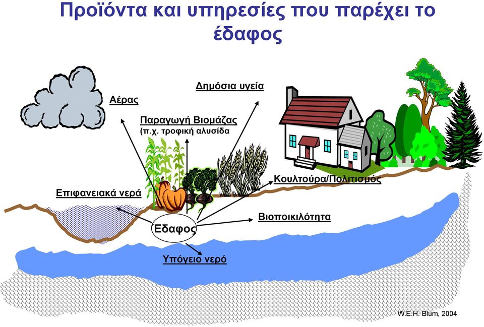 τροφική αλυσίδα Επιφανειακά νερά