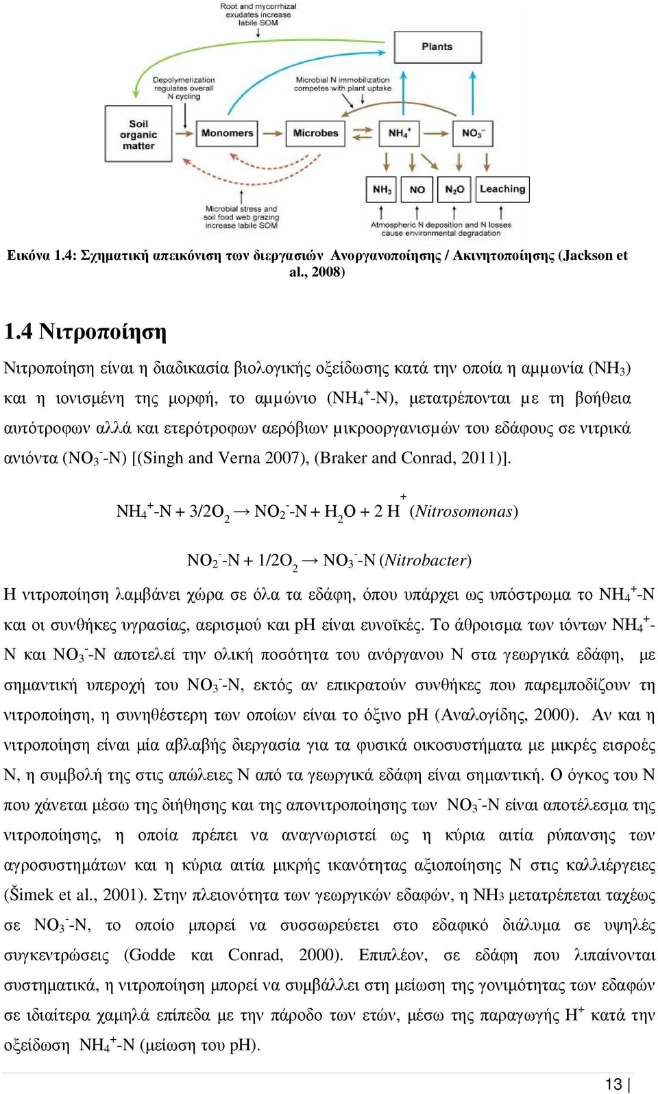 ετερότροφων αερόβιων µικροοργανισµών του εδάφους σε νιτρικά ανιόντα (NΟ - 3 -N) [(Singh and Verna 2007), (Braker and Conrad, 2011)].