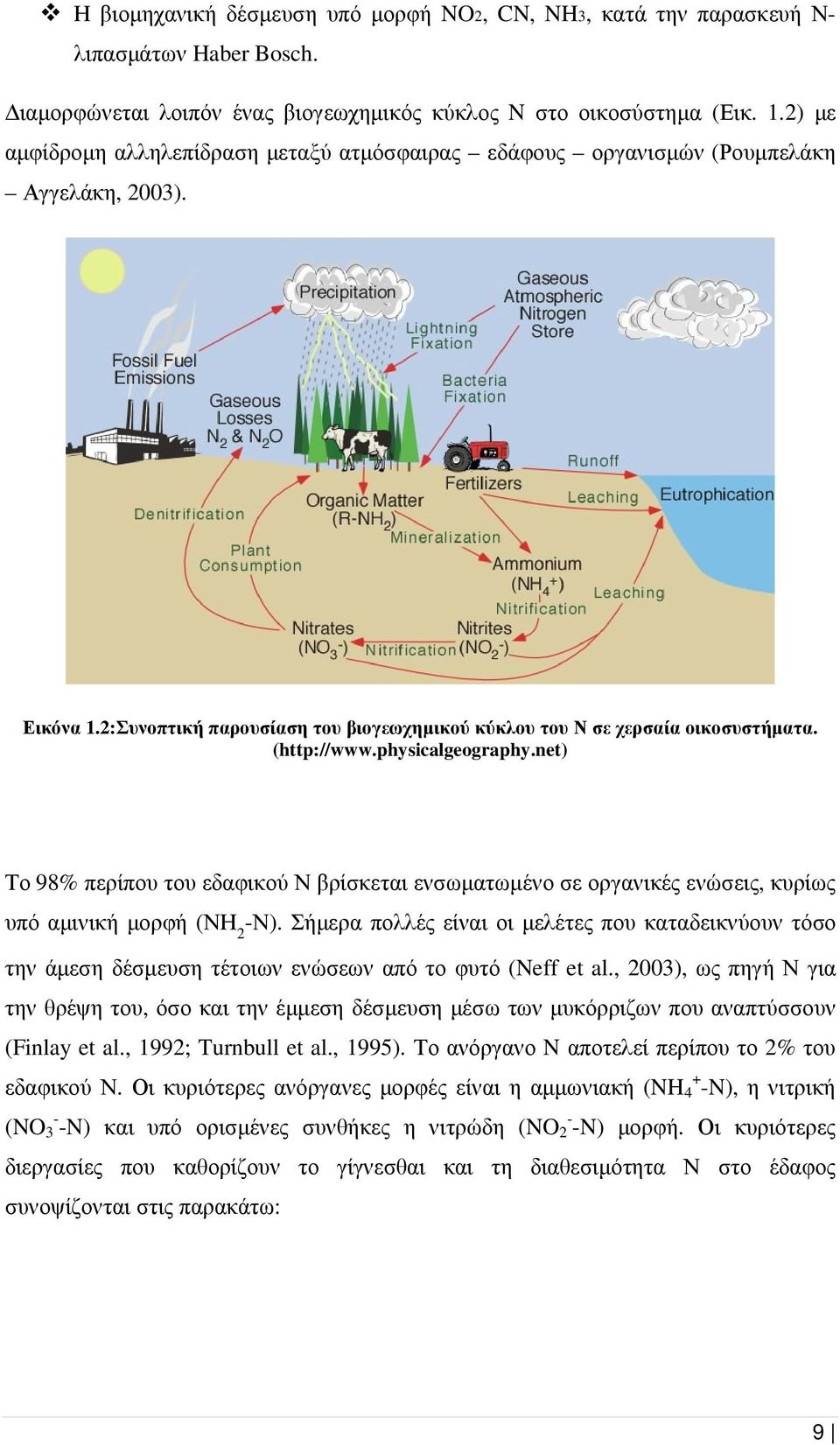 physicalgeography.net) Το 98% περίπου του εδαφικού Ν βρίσκεται ενσωµατωµένο σε οργανικές ενώσεις, κυρίως υπό αµινική µορφή (ΝΗ 2 -Ν).