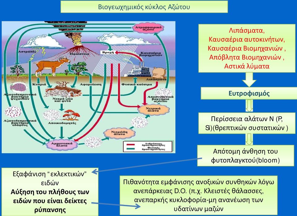 ειδών Αύξηση του πλήθους των ειδών που είναι δείκτες ρύπανσης Πιθανότητα εμφάνισης ανοξικών συνθηκών λόγω Πιθανότητα