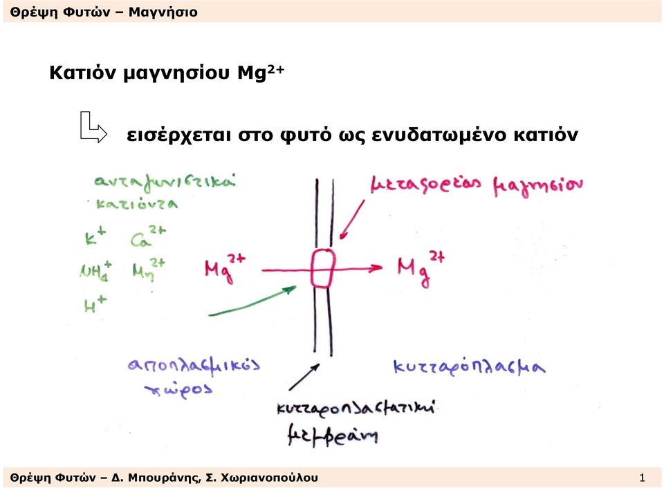 ενυδατωµένο κατιόν Θρέψη