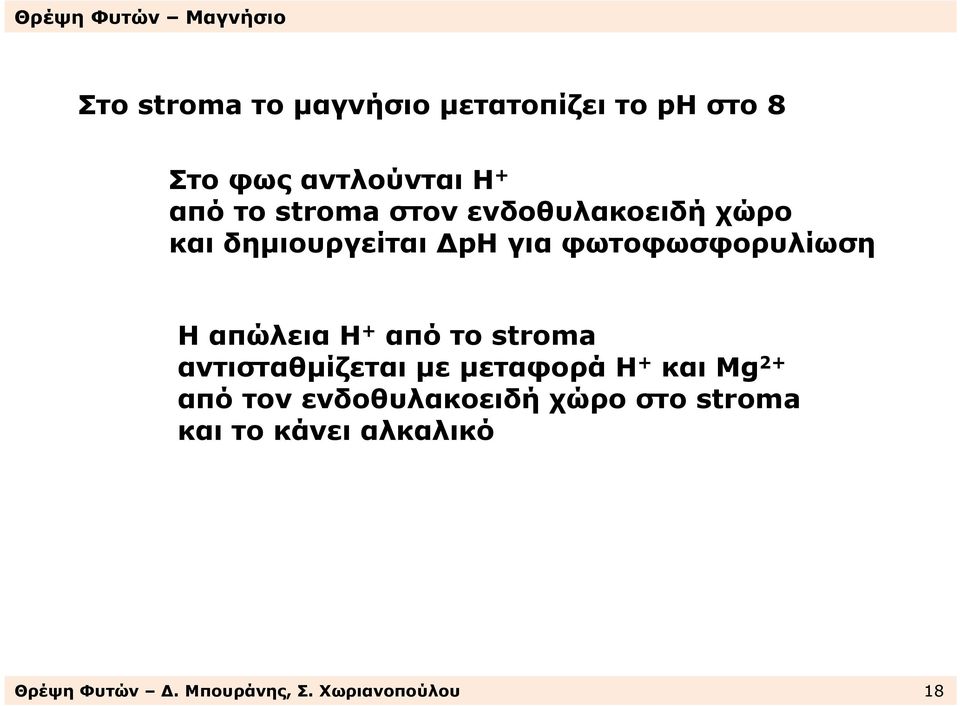 + απότοstroma αντισταθµίζεταιµεµεταφοράη + καιmg 2+ από τον ενδοθυλακοειδή